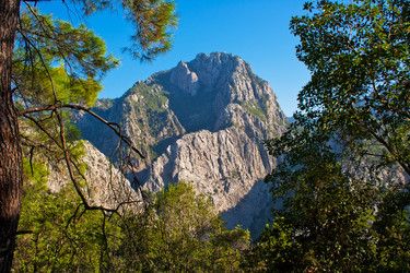 Similar image 598161