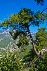 Similar image 598164