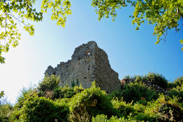 Similar image 598165