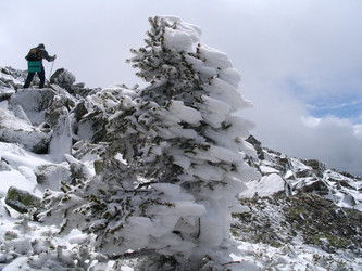 Similar image 598263