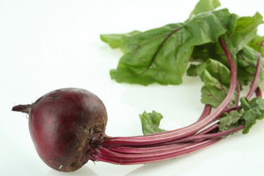 Similar image 598277