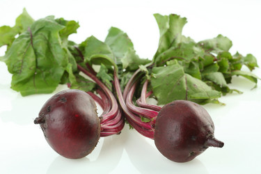 Similar image 598279