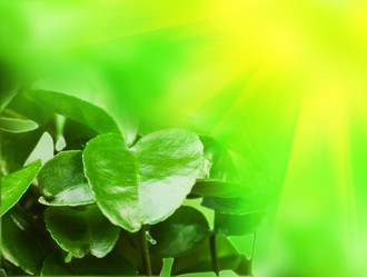 Similar image 598345