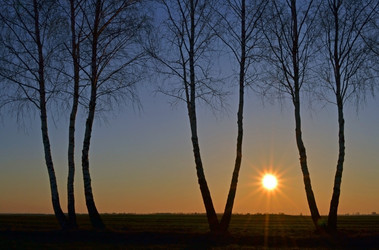 Similar image 598409