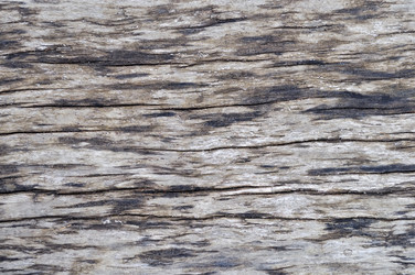 Similar image 598465