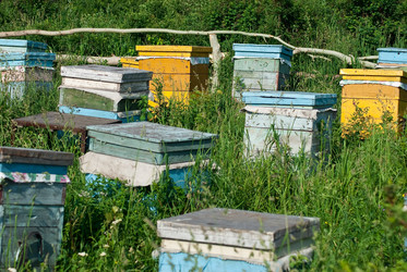 Similar image 598633