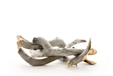 Similar image 598677