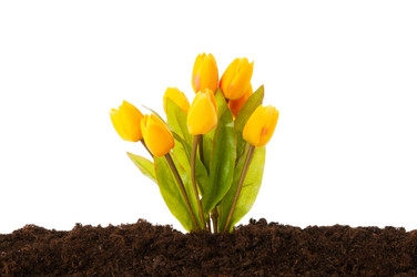 Similar image 598711