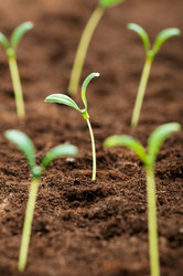 Similar image 598723