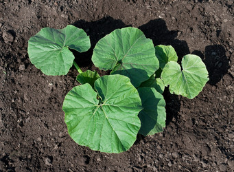 Similar image 598736