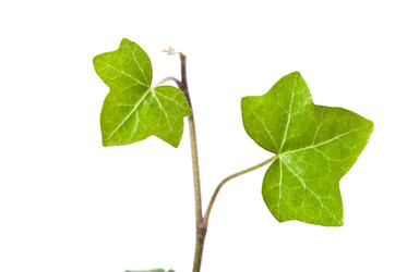 Similar image 598746