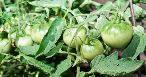 Similar image 598751