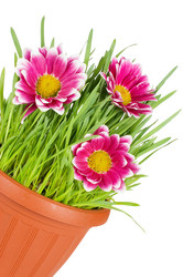 Similar image 598756