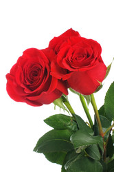 Similar image 598760