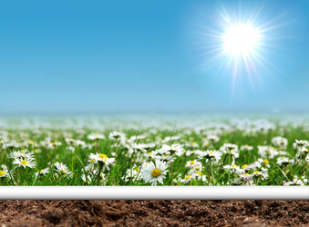 Similar image 598768