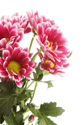 Similar image 598770