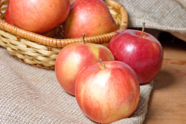 Similar image 598772