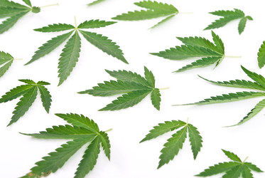 Similar image 598945