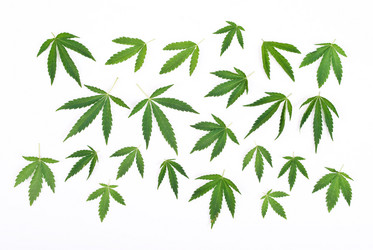 Similar image 598946