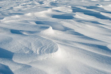 Similar image 598950