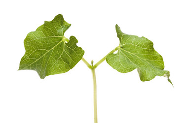 Similar image 598961