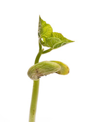 Similar image 598962