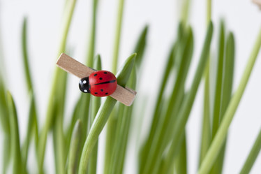 Similar image 599009