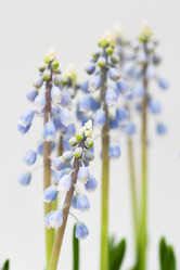 Similar image 599013