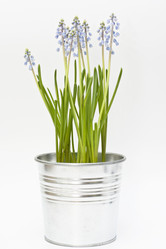 Similar image 599014