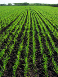 Similar image 599141