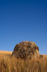 Similar image 599142