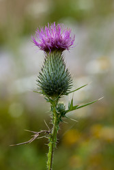 Similar image 599146