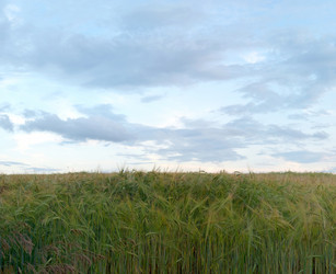 Similar image 599154