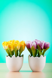 Similar image 599447