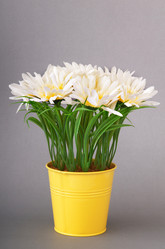 Similar image 599466