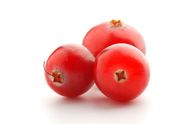 Similar image 599527