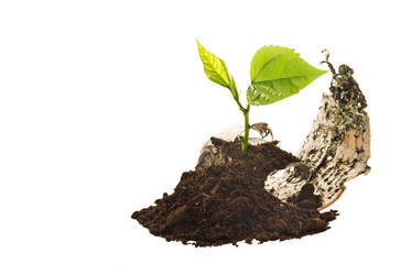 Similar image 599596