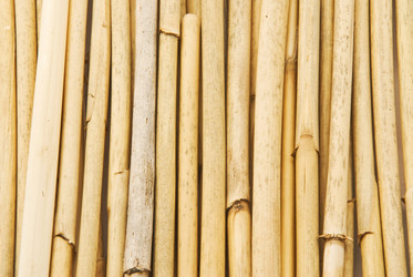 Similar image 599597