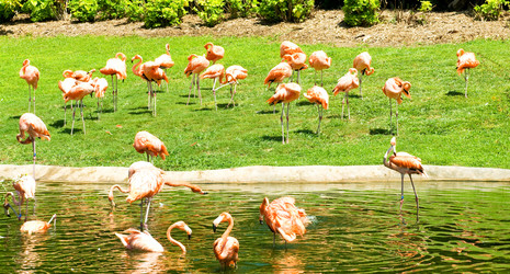 Similar image 599622