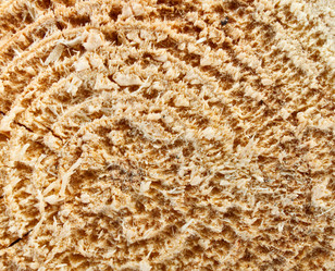 Similar image 599723