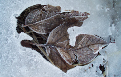 Similar image 599824