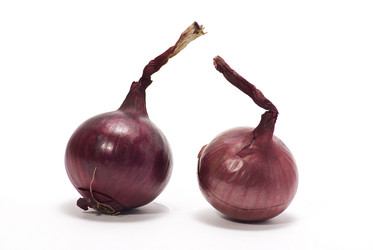 Similar image 599826