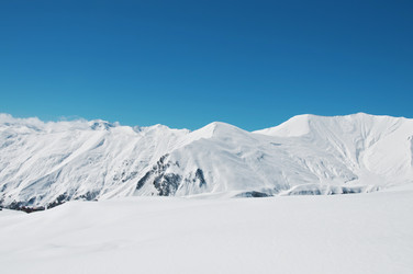 Similar image 599833