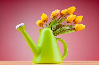 Similar image 599856