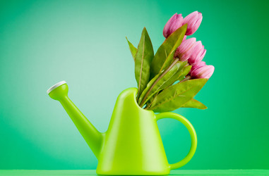 Similar image 599858