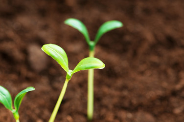 Similar image 599888