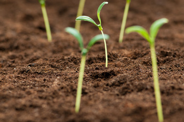 Similar image 599889