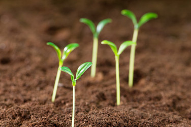 Similar image 599890