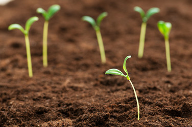 Similar image 599891