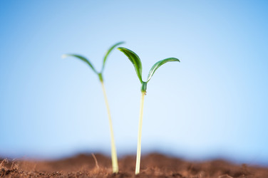 Similar image 599894